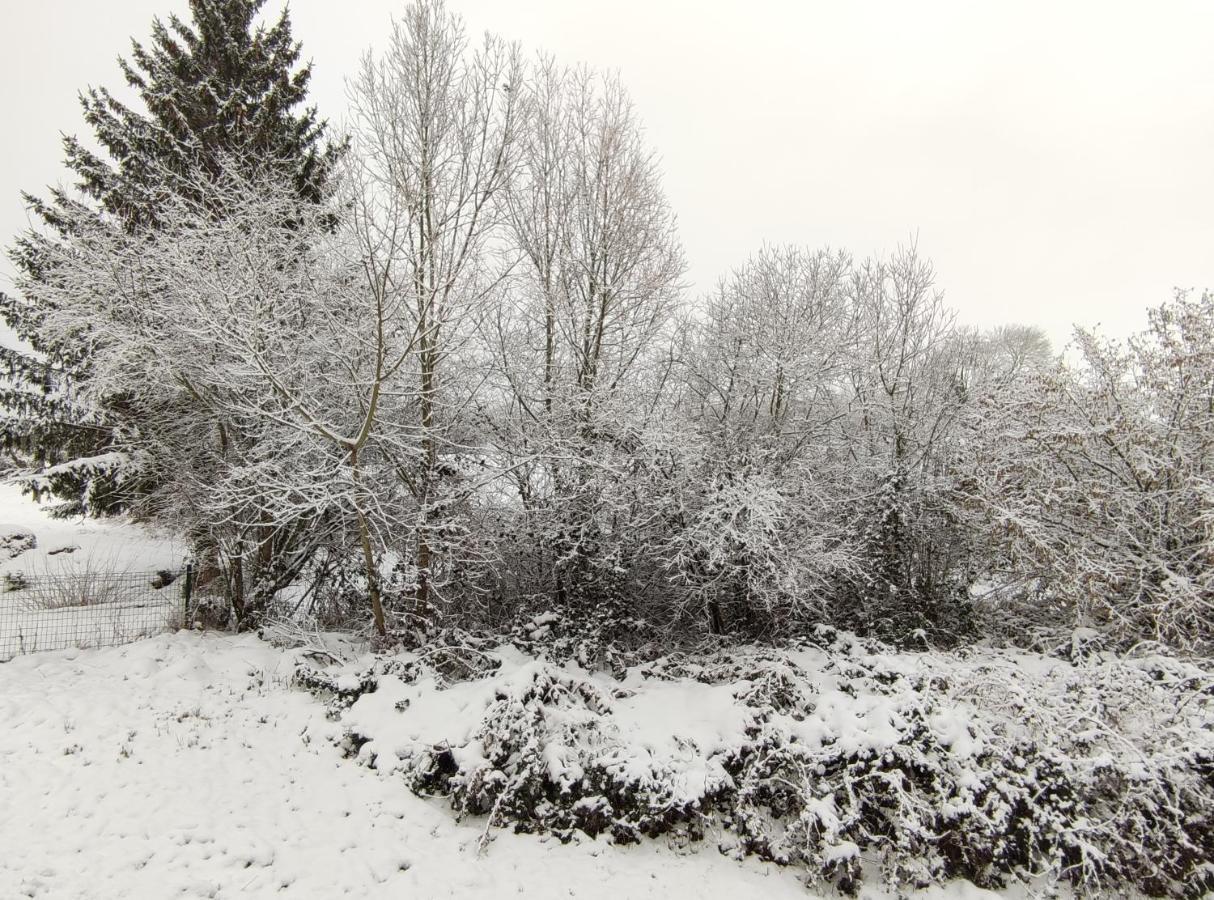 Les Eylauds Appartement Pionsat